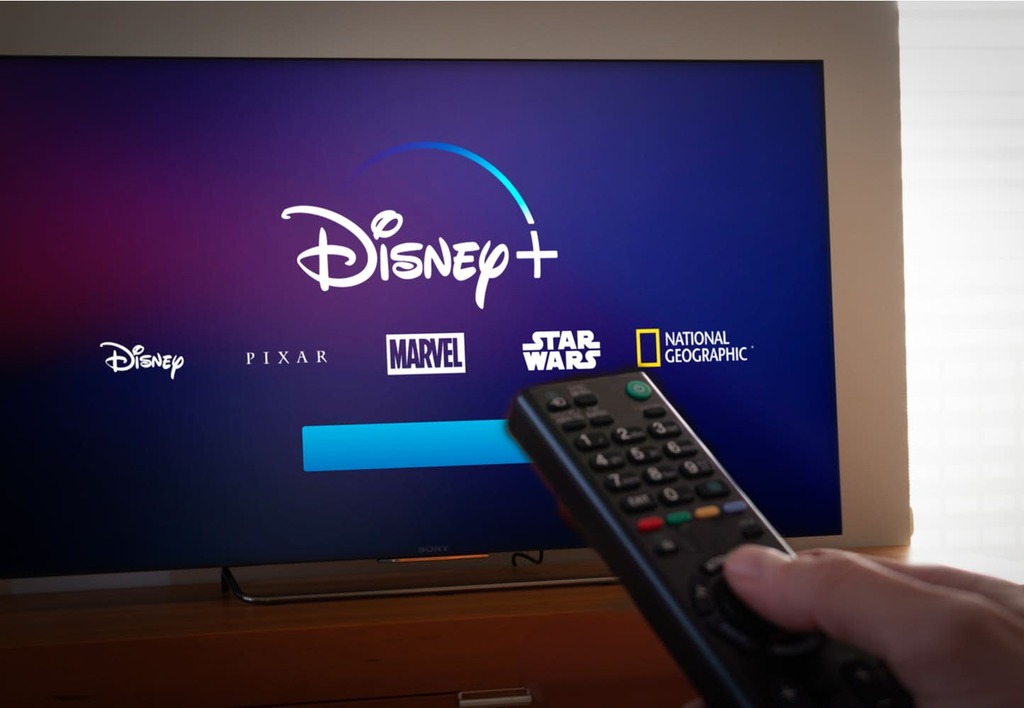 disneyplus com login begin