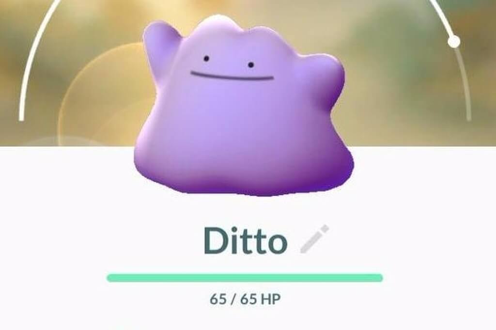 How to catch Ditto in Pokemon Go