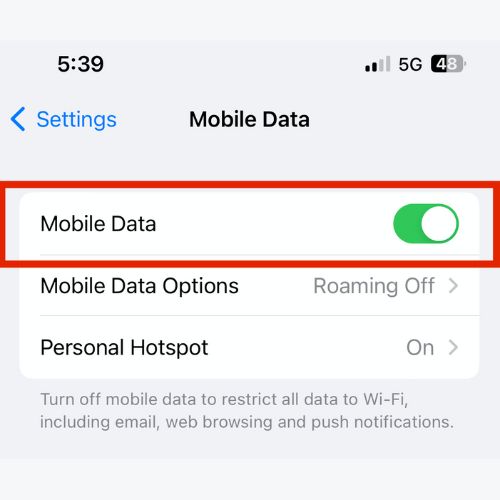 Make Sure Cellular Data is Enabled