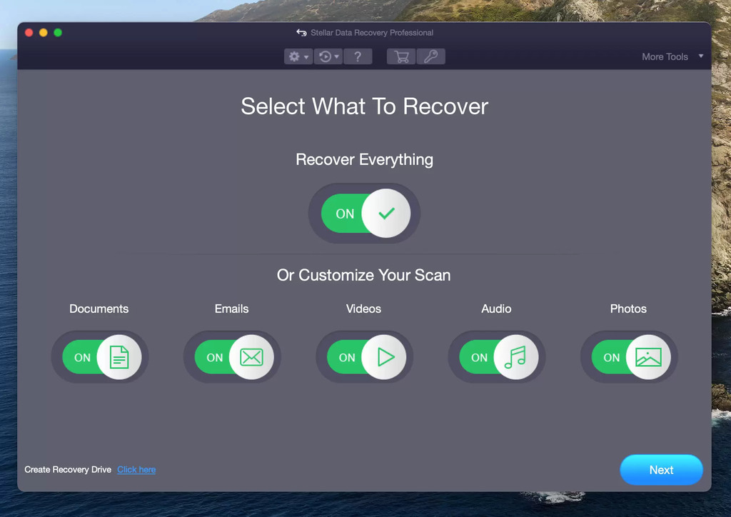 stellar data recovery professional