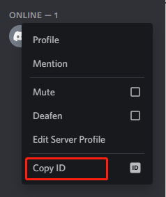 discord ip resolver